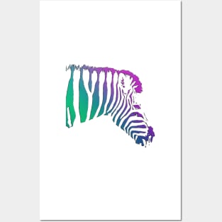 Colourful Zebra Posters and Art